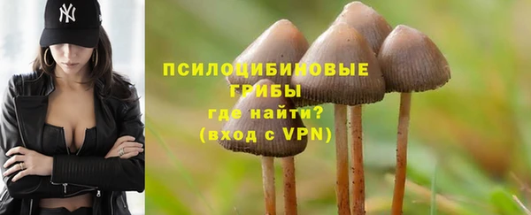 ПСИЛОЦИБИНОВЫЕ ГРИБЫ Абаза