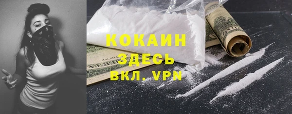 ПСИЛОЦИБИНОВЫЕ ГРИБЫ Абаза