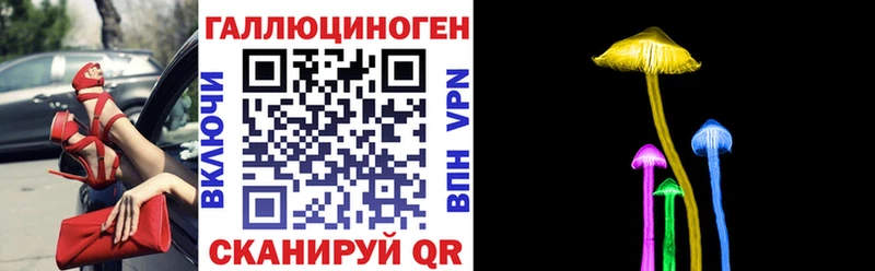 Псилоцибиновые грибы Cubensis  Ялуторовск 